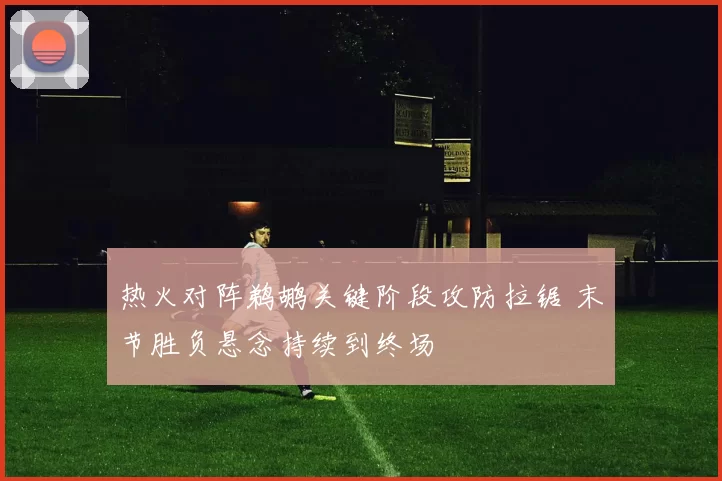 热火对阵鹈鹕关键阶段攻防拉锯 末节胜负悬念持续到终场