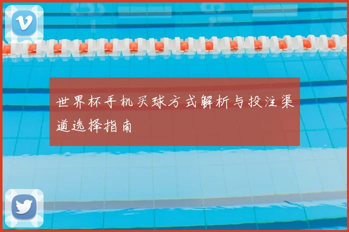 世界杯手机买球方式解析与投注渠道选择指南