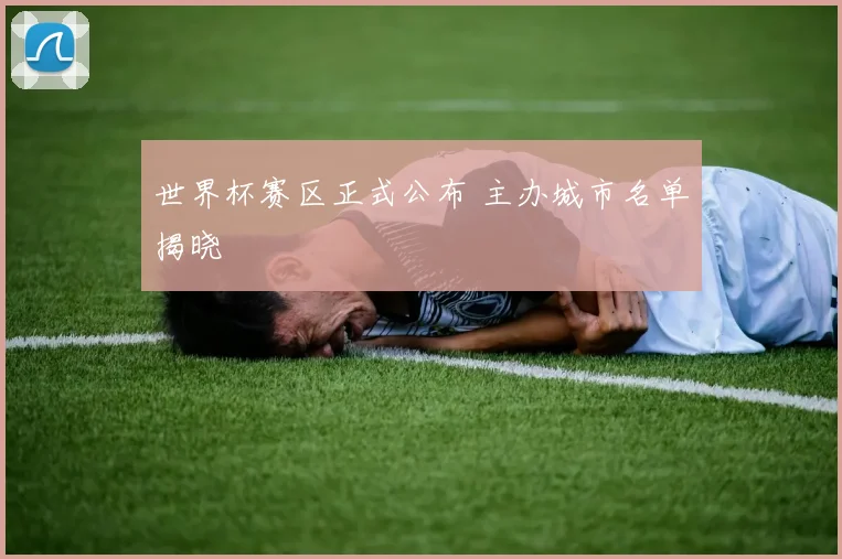 世界杯赛区正式公布 主办城市名单揭晓