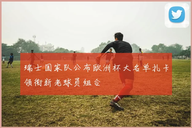 瑞士国家队公布欧洲杯大名单扎卡领衔新老球员组合