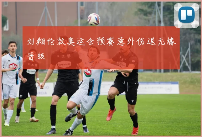 刘翔伦敦奥运会预赛意外伤退无缘晋级
