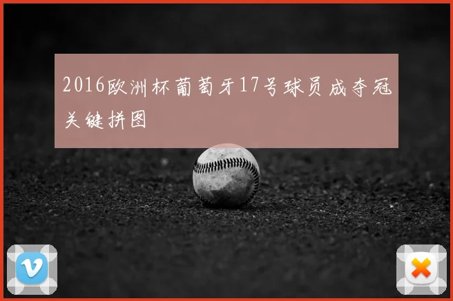 2016欧洲杯葡萄牙17号球员成夺冠关键拼图