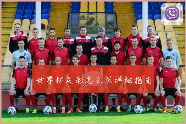 世界杯足彩怎么买详细指南