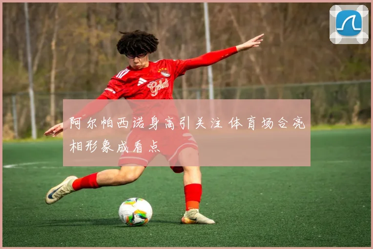 阿尔帕西诺身高引关注 体育场合亮相形象成看点