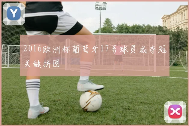 2016欧洲杯葡萄牙17号球员成夺冠关键拼图