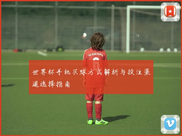 世界杯手机买球方式解析与投注渠道选择指南